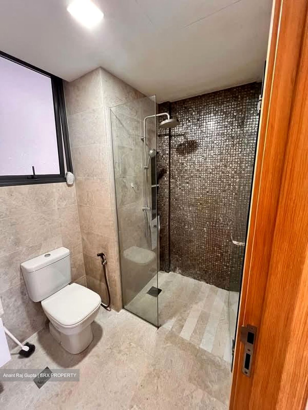 La Fiesta (D19), Condominium #593992471